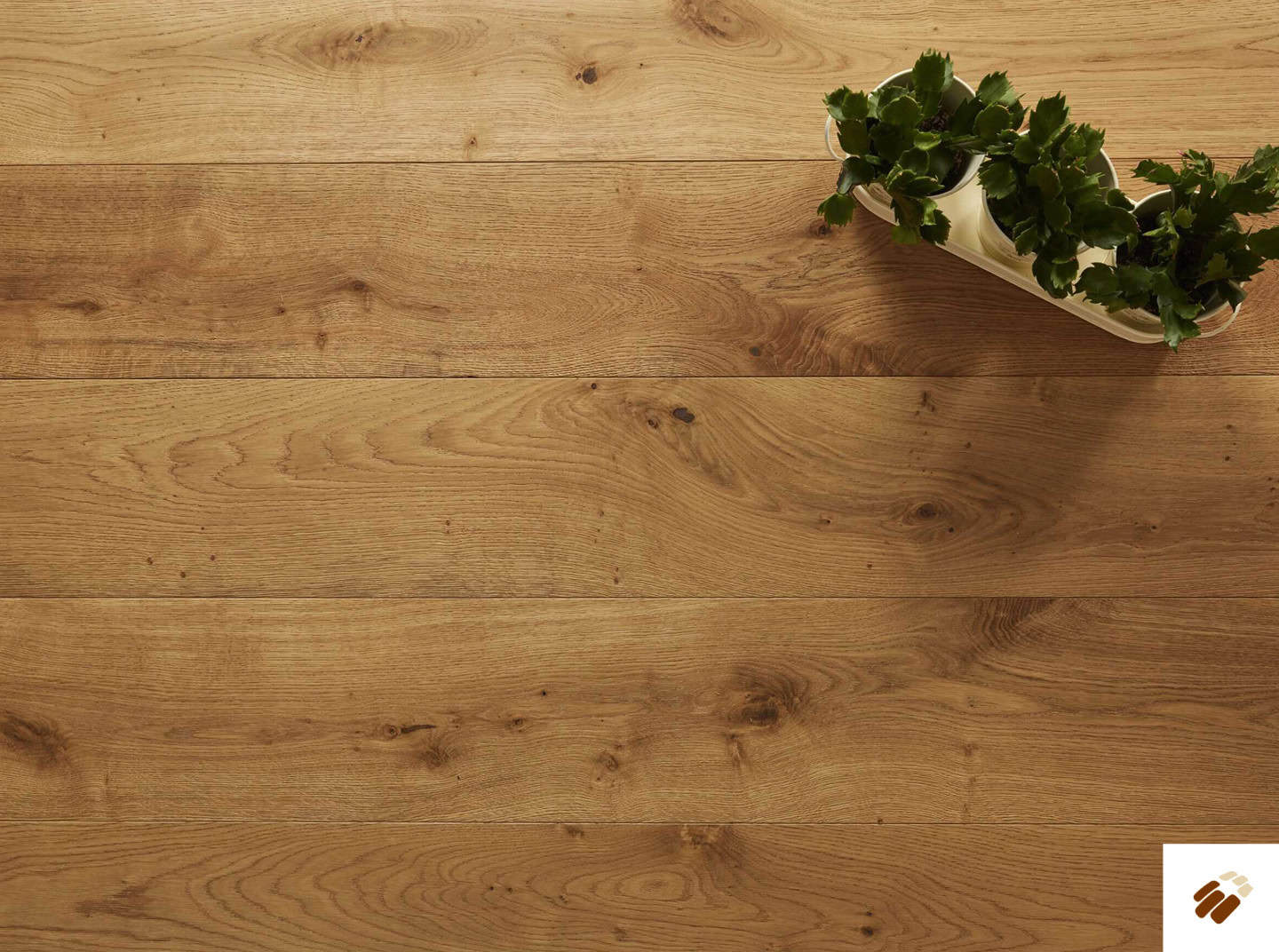 brooks floor: balmoral originals e2017a oak brushed & uv oiled (14/3 x 190mm)