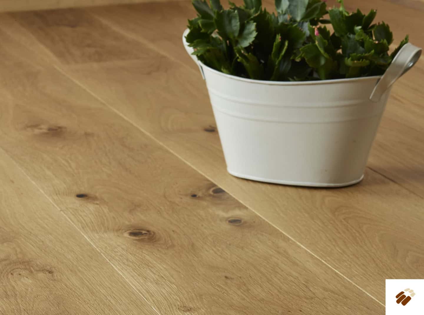 brooks floor: blenheim originals m1009z oak brushed & uv oiled (20/6 x 190mm)