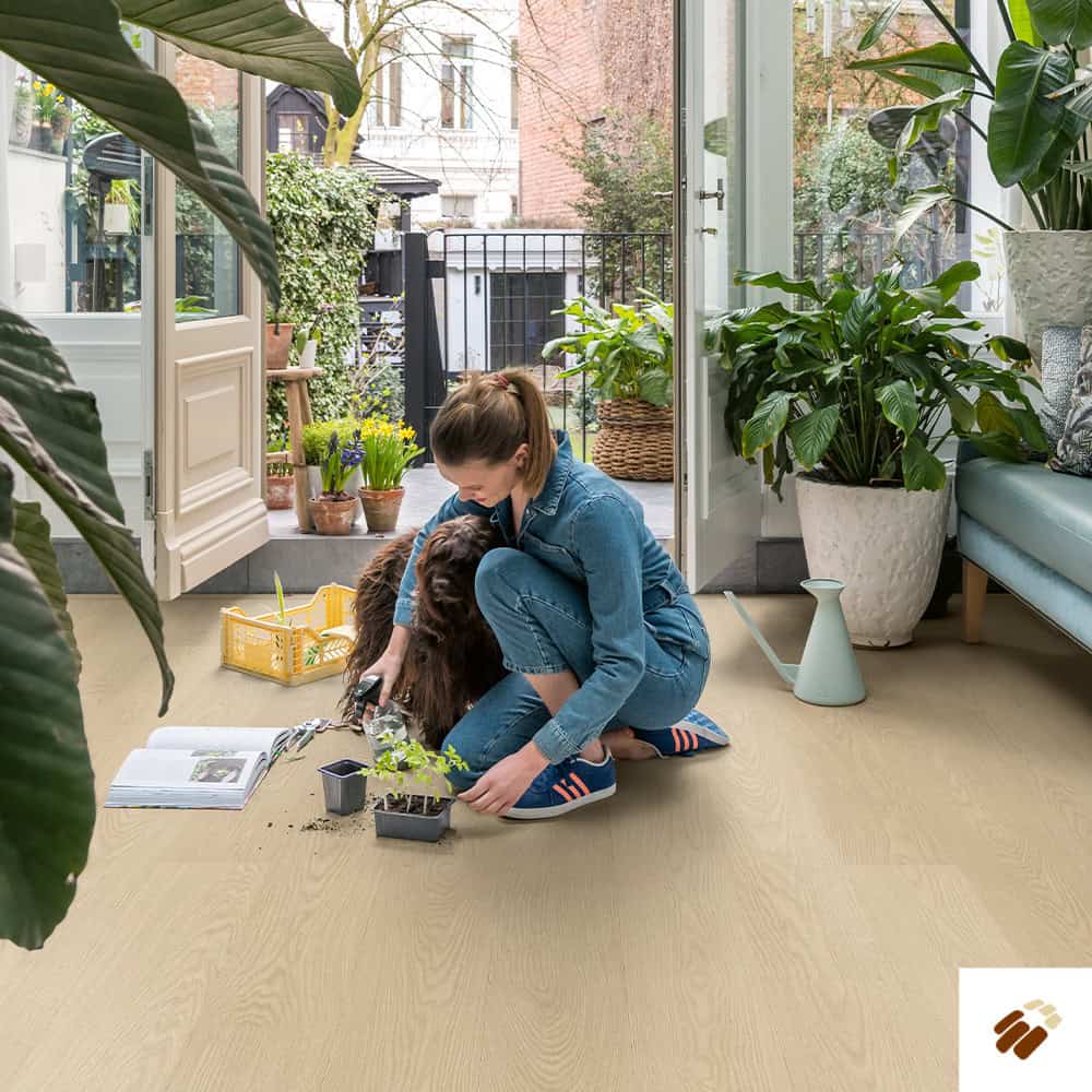 quick step: alpha lvt – blos | avspu40277 buttermilk oak