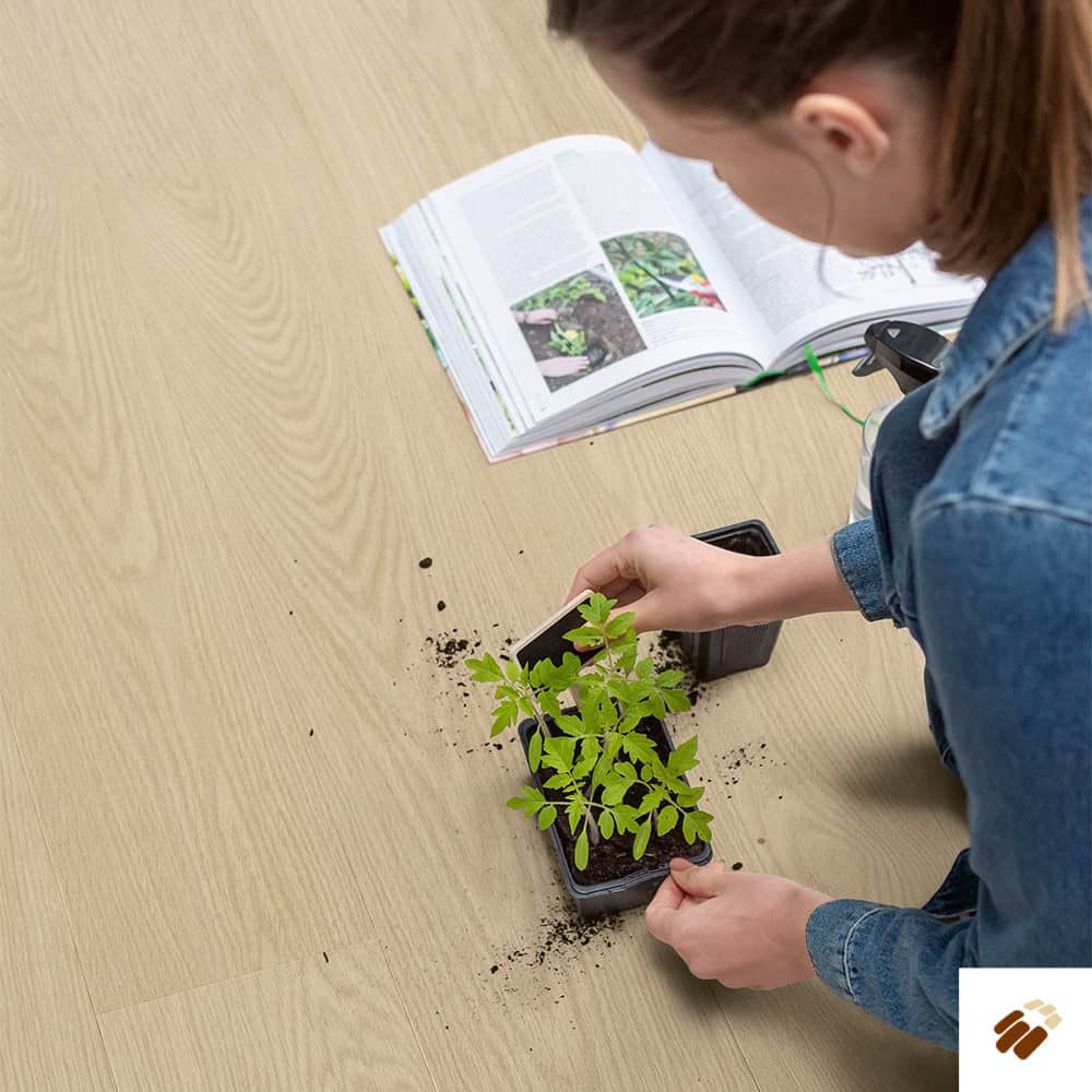 quick step: alpha lvt – blos | avspu40277 buttermilk oak