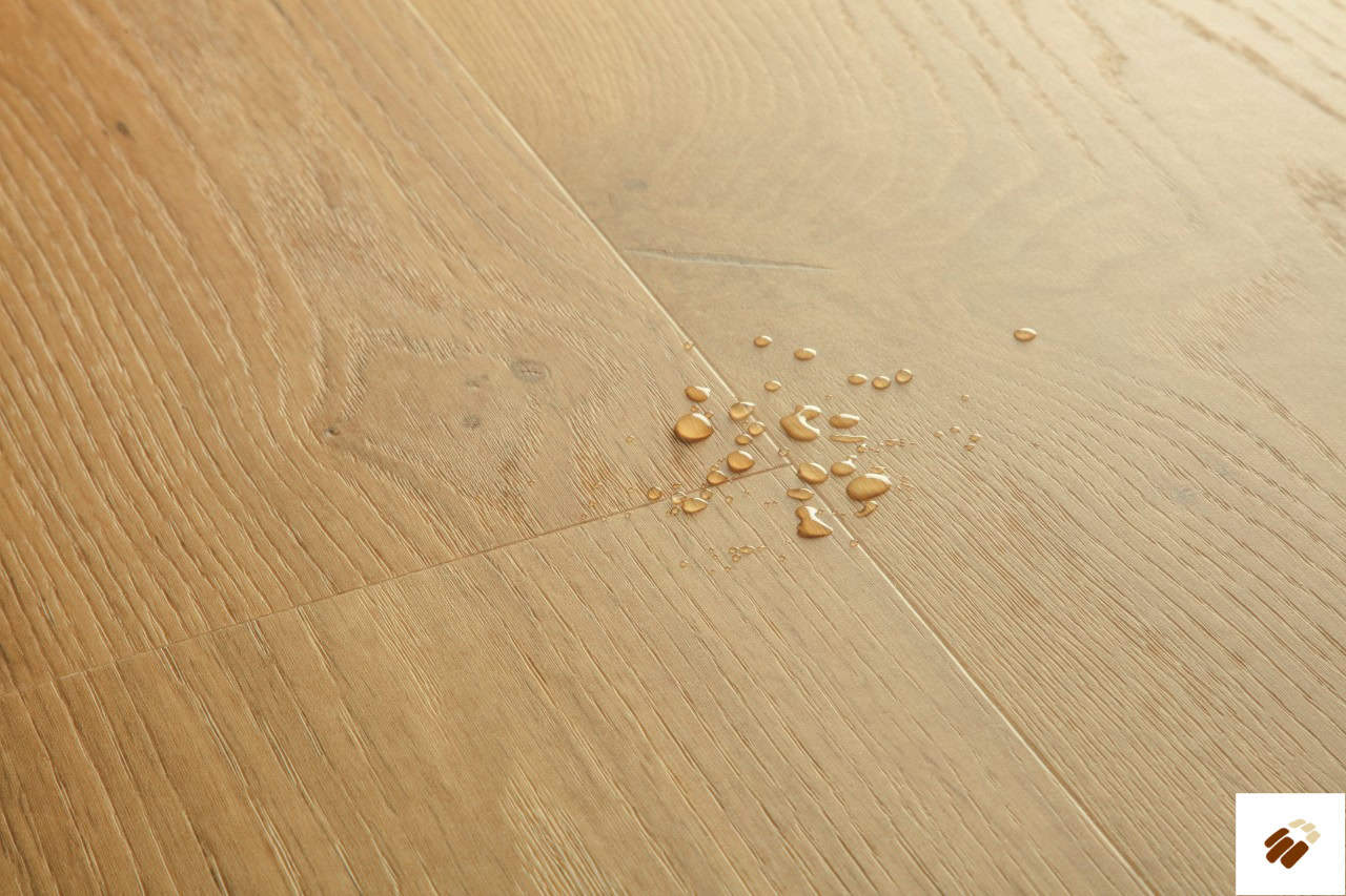 quick step: alpha lvt – blos | avspu40320 coast oak honey