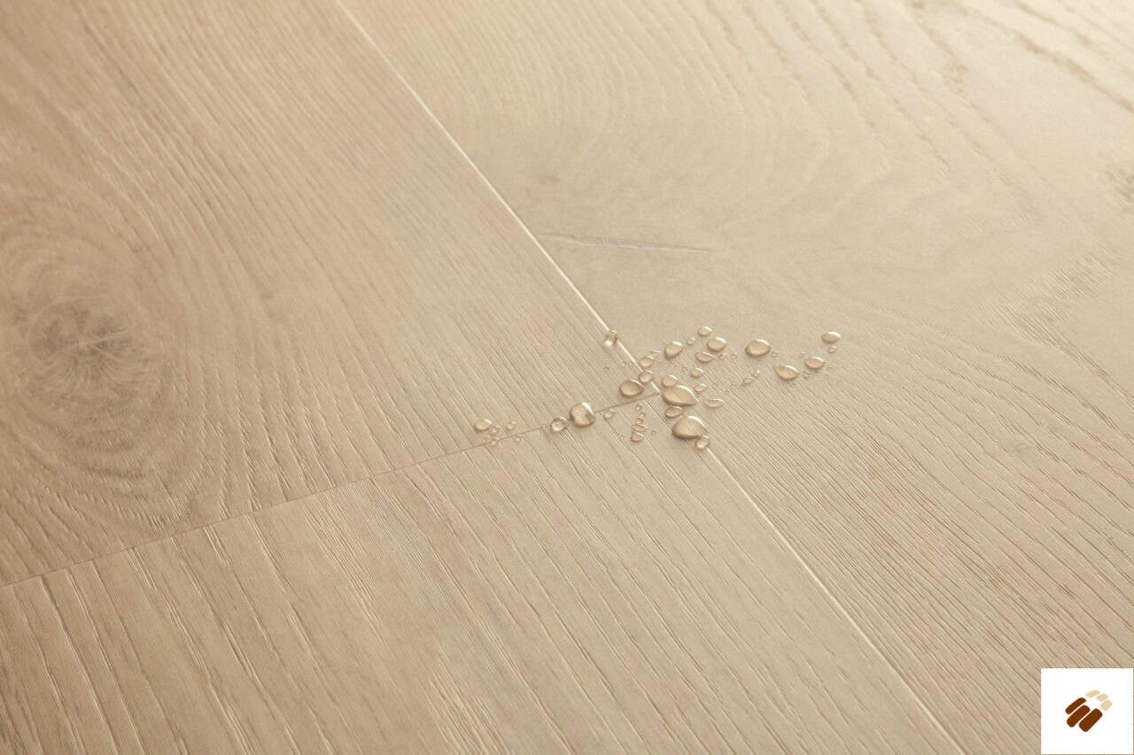 quick step: alpha lvt – blos | avspu40322 coast oak sand