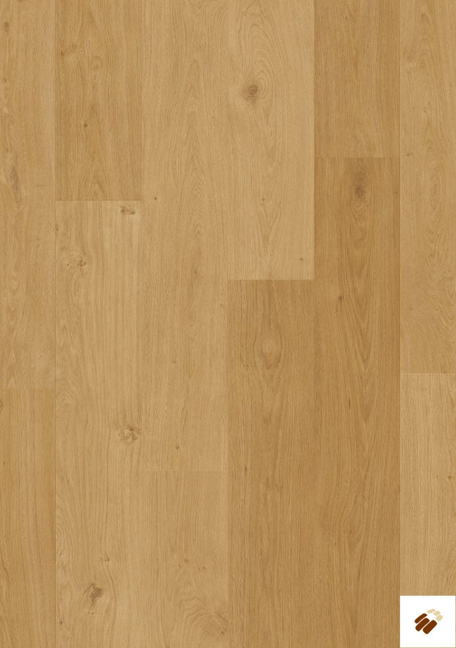 quick step: alpha lvt – blos | avspu40320 coast oak honey