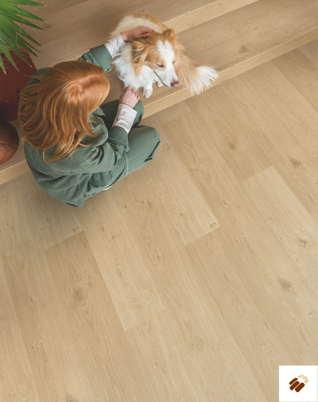 quick step: alpha lvt – blos | avspu40321 coast oak beige