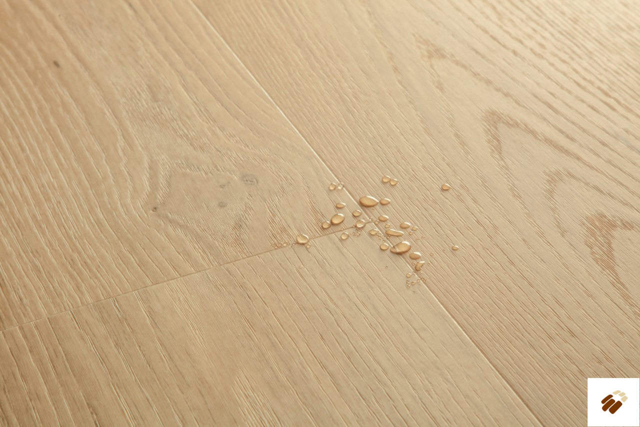 quick step: alpha lvt – blos | avspu40321 coast oak beige