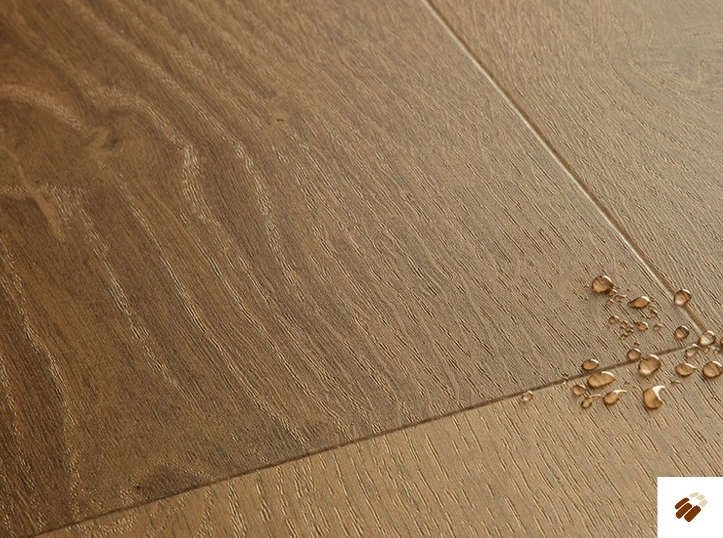 quick step: alpha lvt – bloom | avmpu40317 elegant oak fumed
