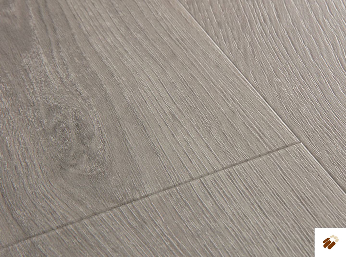 quick step: alpha lvt – bloom | avmpu40237 botanic grey