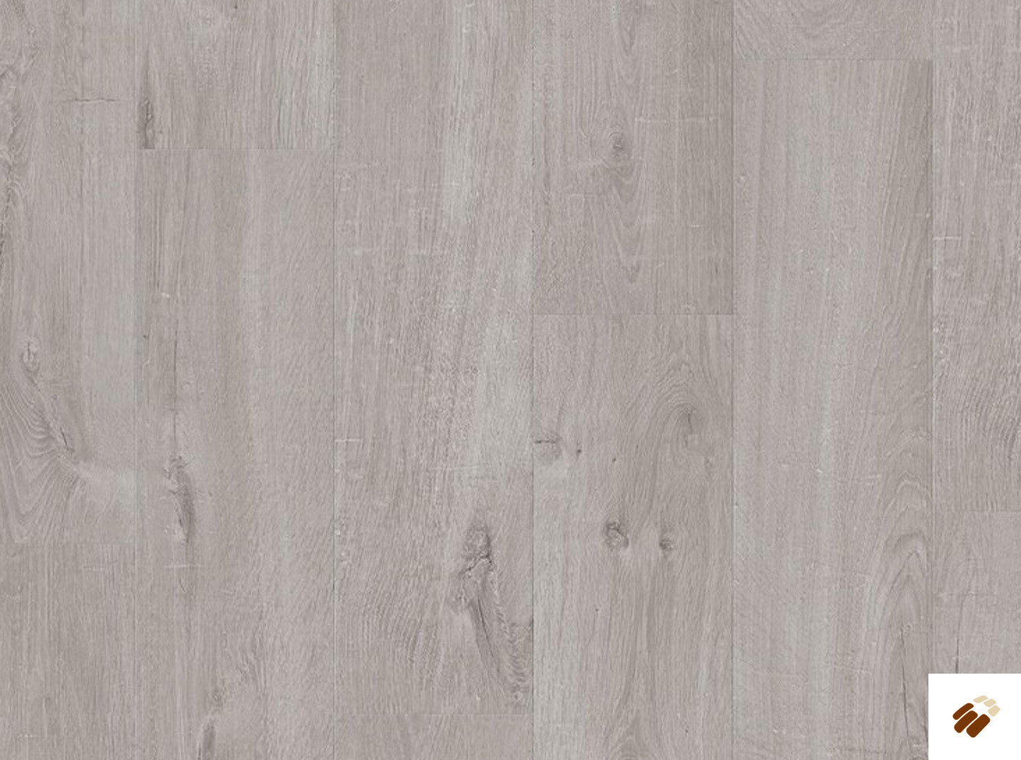 quick step: alpha lvt – bloom | avmpu40201 cotton oak cold grey