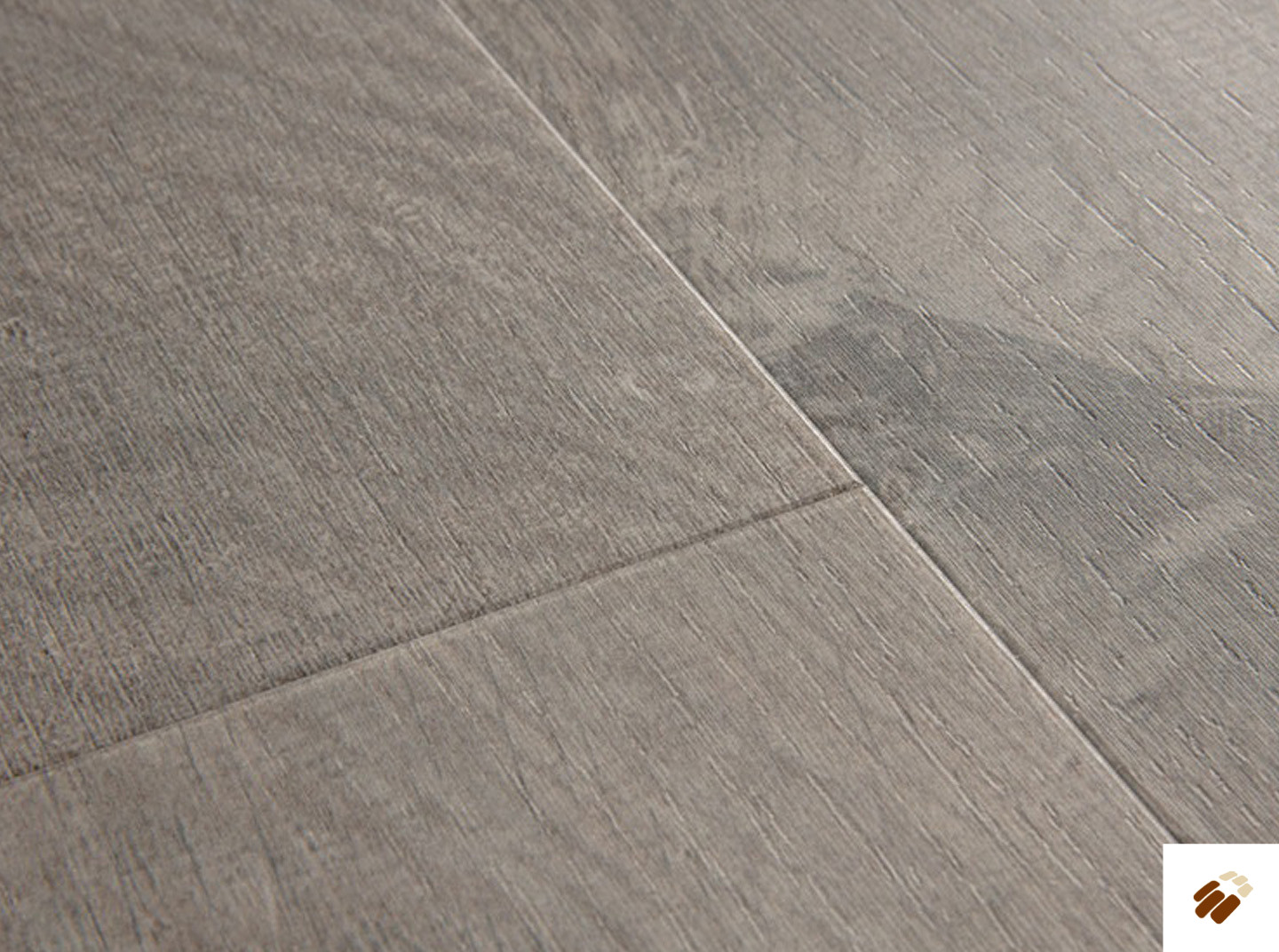 quick step: alpha lvt – bloom | avmpu40202 cotton oak cozy grey