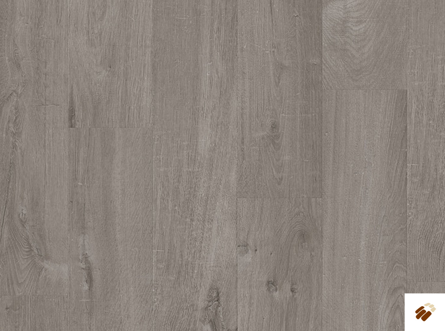 quick step: alpha lvt – bloom | avmpu40202 cotton oak cozy grey
